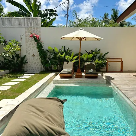Turtle Villa